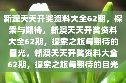 新澳天天开奖资料大全62期，探索与期待，新澳天天开奖资料大全62期，探索之旅与期待的目光，新澳天天开奖资料大全62期，探索之旅与期待的目光