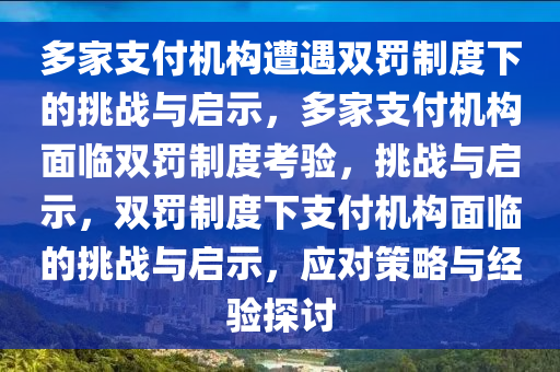 多家支付机构遭遇双罚制度下的挑战与启示，多家支付机构面临双罚制度考验，挑战与启示，双罚制度下支付机构面临的挑战与启示，应对策略与经验探讨