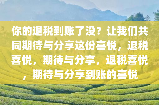 你的退税到账了没？让我们共同期待与分享这份喜悦，退税喜悦，期待与分享，退税喜悦，期待与分享到账的喜悦