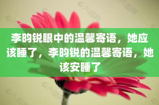 李昀锐眼中的温馨寄语，她应该睡了，李昀锐的温馨寄语，她该安睡了今晚必出三肖2025_2025新澳门精准免费提供·精确判断