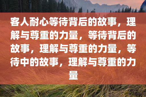客人耐心等待今晚必出三肖2025_2025新澳门精准免费提供·精确判断背后的故事，理解与尊重的力量，等待背后的故事，理解与尊重的力量，等待中的故事，理解与尊重的力量