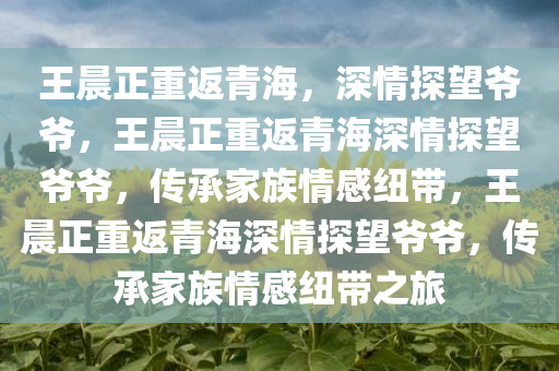 王晨正重返青海，深情探望爷爷，王晨正重返青海深情探望爷爷，传承家族情感纽带，王晨正重返青海深情探望爷爷，传承家族情感纽带之旅今晚必出三肖2025_2025新澳门精准免费提供·精确判断