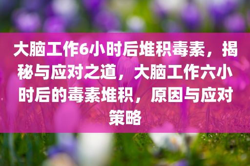 大脑工作6小时后堆积毒素，揭秘与应对之道，大脑工作六小时后的毒素堆积，原因与应对策略今晚必出三肖2025_2025新澳门精准免费提供·精确判断