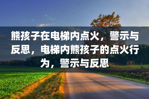 熊孩子在电梯内点火，警示与反思，电梯内熊孩子的点火行为，警示与反思