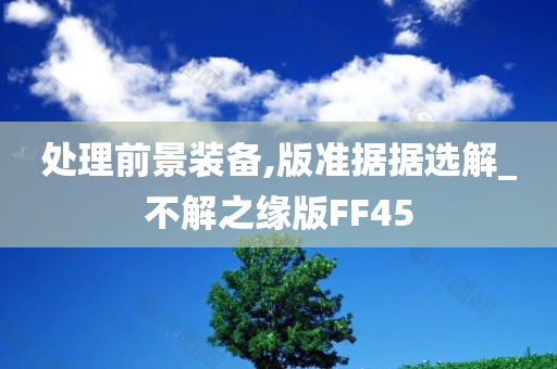 处理前景装备,版准据据选解_不解之缘版FF45
