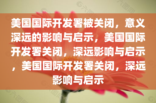 美国国际开发署被关闭，意义深远的影响与启示，美国国际开发署关闭，深远影响与启示，美国国际开发署关闭，深远影响与启示