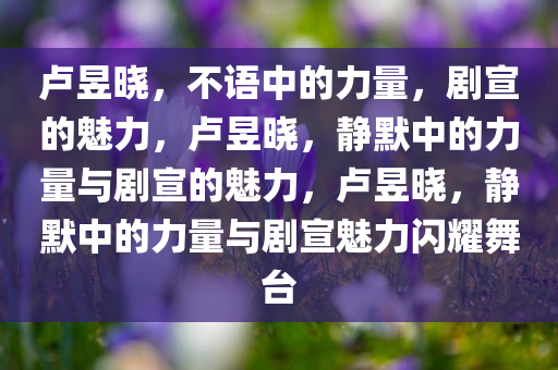 卢昱晓，不语中的力量，剧宣的魅力，卢昱晓，静默中的力量与剧宣的魅力，卢昱晓，静默中的力量与剧宣魅力闪耀舞台
