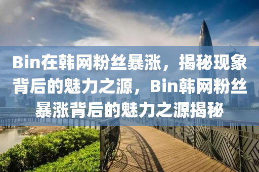 Bin在韩网粉丝暴涨，揭秘现象背后的魅力之源，Bin韩网粉丝暴涨背后的魅力之源揭秘