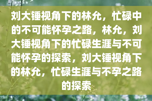 刘大锤说林允没时间怀孕