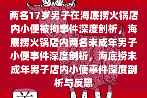 两名17岁男子在海底捞火锅店内小便被拘事件深度剖析，海底捞火锅店内两名未成年男子小便事件深度剖析，海底捞未成年男子店内小便事件深度剖析与反思