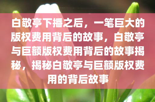 白敬亭下播之后，一笔巨大的版权费用背后的故事，白敬亭与巨额版权费用背后的故事揭秘，揭秘白敬亭与巨额版权费用的背后故事