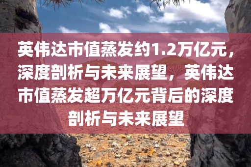英伟达市值蒸发约今晚必出三肖2025_2025新澳门精准免费提供·精确判断1.2万亿元，深度剖析与未来展望，英伟达市值蒸发超万亿元背后的深度剖析与未来展望