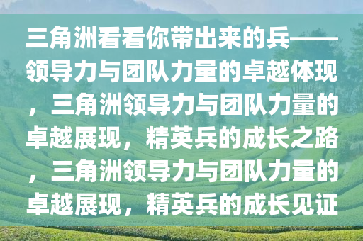 三角洲看看你带出来的兵——领导力与团队力量的卓越体现，三角洲领导力与团队力量的卓越展现，精英兵的成长之路，三角洲领导力与团队力量的卓越展现，精英兵的成长见证今晚必出三肖2025_2025新澳门精准免费提供·精确判断