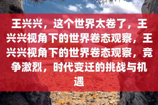 王兴兴，这个世界太卷了，王兴兴视角下的世界卷态观察，王兴兴视角下的世界卷态观察，竞争激烈，时代变迁的挑战与机遇今晚必出三肖2025_2025新澳门精准免费提供·精确判断