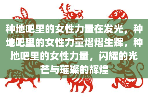 种地吧里的女性力量在发光，种地吧里的女性力量熠熠生辉，种地吧里的女性力量，闪耀的光芒与璀璨的辉煌今晚必出三肖2025_2025新澳门精准免费提供·精确判断