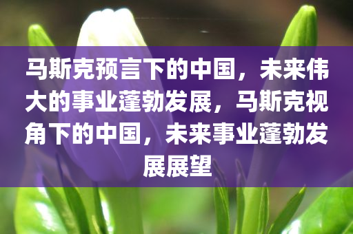 马斯克预言下的中国，未来伟大的事业蓬勃发展，马斯克视角下的中国，未来事业蓬勃发展展望今晚必出三肖2025_2025新澳门精准免费提供·精确判断