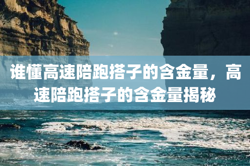 谁懂高速陪跑搭子的含金量，高速陪跑搭子的含金量揭秘
