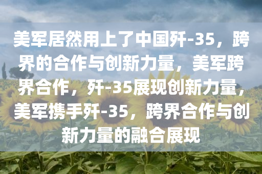 美军居然用上了中国歼-35，跨界的合作与创新力量，美军跨界合作，歼-35展现创新力量，美军携手歼-35，跨界合作与创新力量的融合展现