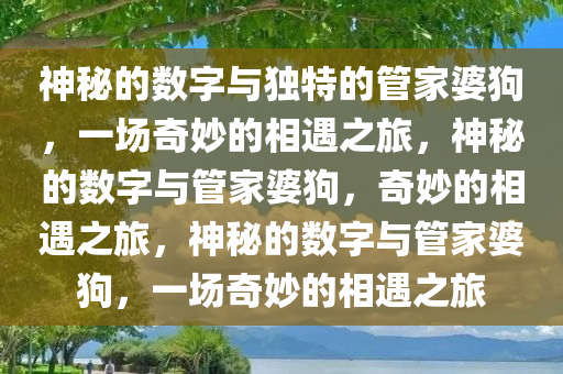 神秘的数字与独特的管家婆狗，一场奇妙的相遇之旅，神秘的数字与管家婆狗，奇妙的相遇之旅，神秘的数字与管家婆狗，一场奇妙的相遇之旅