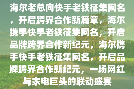 海尔老总向快手老铁征集网名，开启跨界合作新篇章，海尔携手快手老铁征集网名，开启品牌跨界合作新纪元，海尔携手快手老铁征集网名，开启品牌跨界合作新纪元，一场网红与家电巨头的联动盛宴