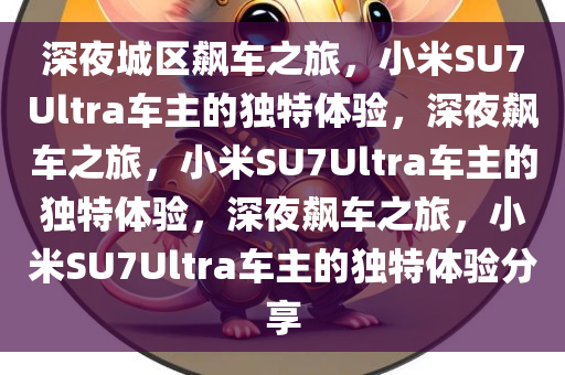深夜城区飙车之旅，小米SU7Ultra车主的独特体验，深夜飙车之旅，小米SU7Ultra车主的独特体验，深夜飙车之旅，小米SU7Ultra车主的独特体验分享