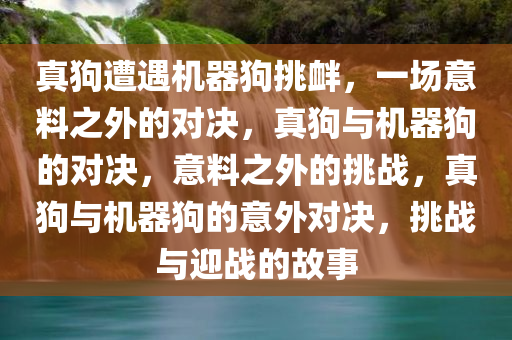 真狗遭遇机器狗挑衅，一场意料之外的对决，真狗与机器狗的对决，意料之外的挑战，真狗与机器狗的意外对决，挑战与迎战的故事