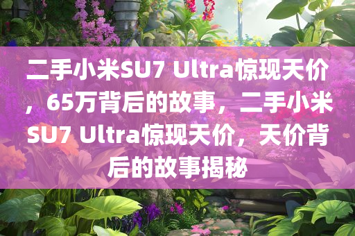 二手小米SU7 Ultra惊现天价，65万背后的故事，二手小米SU7 Ultra惊现天价，天价背后的故事揭秘