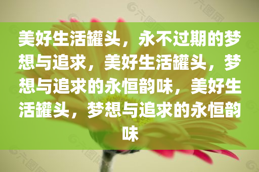 美好生活罐头，永不过期的梦想与追求，美好生活罐头，梦想与追求的永恒韵味，美好生活罐头，梦想与追求的永恒韵味