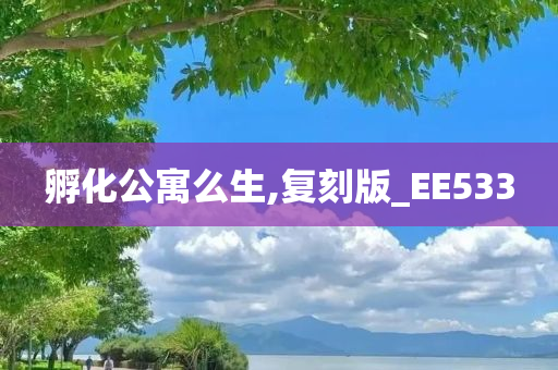 孵化公寓么生,复刻版_EE533