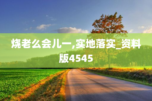 烧老么会儿一,实地落实_资料版4545