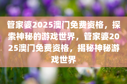 管家婆2025澳门免费资格，探索神秘的游戏世界，管家婆2025澳门免费资格，揭秘神秘游戏世界