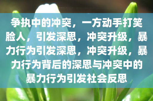 争执中的冲突，一方动手打笑脸人，引发深思，冲突升级，暴力行为引发深思，冲突升级，暴力行为背后的深思与冲突中的暴力行为引发社会反思