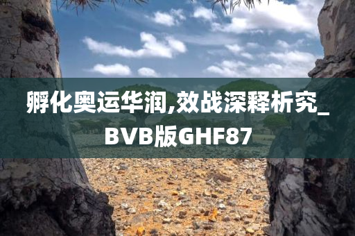 孵化奥运华润,效战深释析究_BVB版GHF87