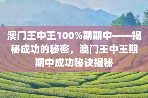 澳门王中王100%期期中——揭秘成功的秘密，澳门王中王期期中成功秘诀揭秘