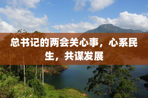 总书记的两会关心事，心系民生，共谋发展