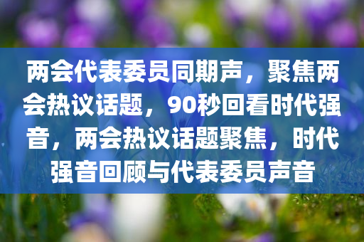 两会代表委员同期声，聚焦两会热议话题，90秒回看时代强音，两会热议话题聚焦，时代强音回顾与代表委员声音