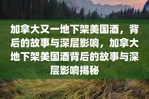 加拿大又一地下架美国酒，背后的故事与深层影响，加拿大地下架美国酒背后的故事与深层影响揭秘