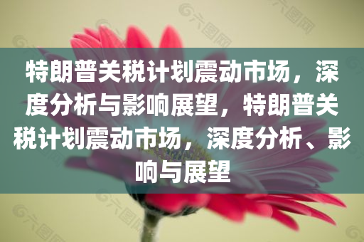 特今晚必出三肖2025_2025新澳门精准免费提供·精确判断朗普关税计划震动市场，深度分析与影响展望，特朗普关税计划震动市场，深度分析、影响与展望