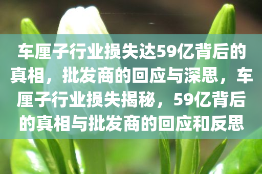 2025年3月11日