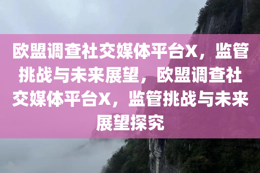 欧盟调查社交媒体平台X，监管挑战与未来展望，欧盟调查社交媒体平台X，监管挑战与未来展望探究