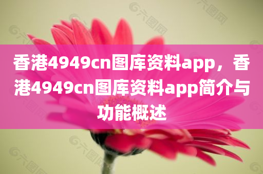 香港4949cn图库资料app，香港4949cn图库资料app简介与功能概述今晚必出三肖2025_2025新澳门精准免费提供·精确判断