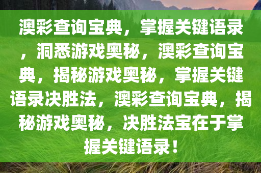 澳彩查询宝典，掌握关键语录，洞悉游戏奥秘，澳彩查询宝典，揭秘游戏奥秘，掌握关键语录决胜法，澳彩查询宝典，揭秘游戏奥秘，决胜法宝在于掌握关键语录！