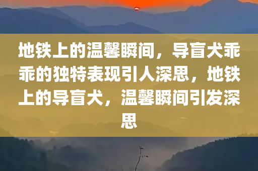 地铁上的温馨瞬间，导盲犬乖乖的独特表现引人深思，地铁上的导盲犬，温馨瞬间引发深思