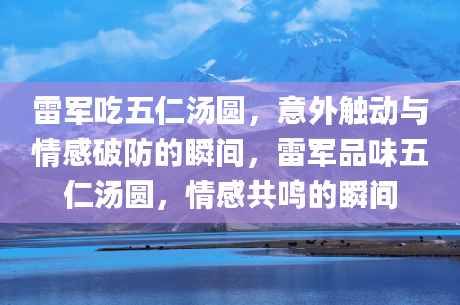雷军吃五仁汤圆，意外触动与情感破防的瞬间，雷军品味五仁汤圆，情感共鸣的瞬间