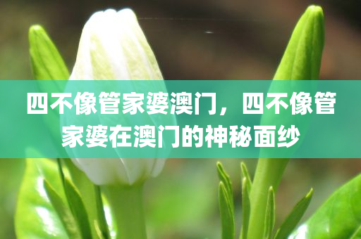 四不像管家婆澳门，四不像管家婆在澳门的神秘面纱今晚必出三肖2025_2025新澳门精准免费提供·精确判断