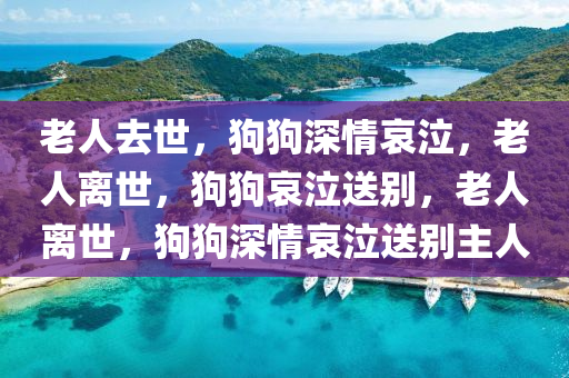 老人去世，狗狗深情哀泣，老人今晚必出三肖2025_2025新澳门精准免费提供·精确判断离世，狗狗哀泣送别，老人离世，狗狗深情哀泣送别主人