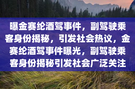曝金赛纶酒驾事件，副驾驶乘客身份揭秘，引发社会热议，金赛纶酒驾事件曝光，副驾驶乘客身份揭秘引发社会广泛关注今晚必出三肖2025_2025新澳门精准免费提供·精确判断