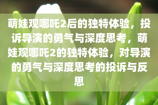 萌娃观哪吒2后的独特体验，投诉导演的勇气与深度思考，萌娃观哪吒2的独特体验，对导演的勇气与深度思考的投诉与反思今晚必出三肖2025_2025新澳门精准免费提供·精确判断