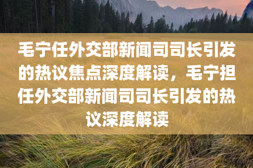 毛宁任外交部新闻司司长引发的热议焦点深度解读，毛宁担任外交部新闻司司长引发的热议深度解今晚必出三肖2025_2025新澳门精准免费提供·精确判断读