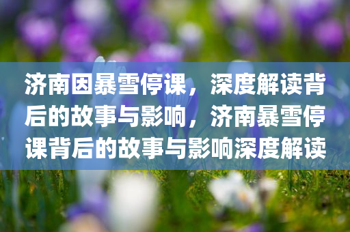 济南因暴雪停课，深度解读背后的故事与影响，济南暴雪停课背后的故事与影响深度解读今晚必出三肖2025_2025新澳门精准免费提供·精确判断